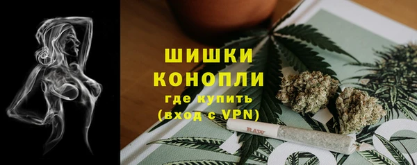 PSILOCYBIN Пестово