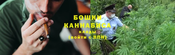 PSILOCYBIN Пестово