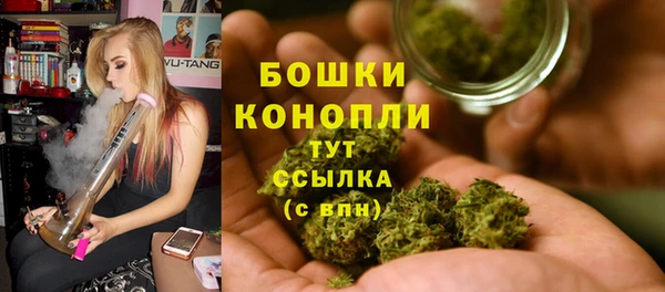 мет Пересвет