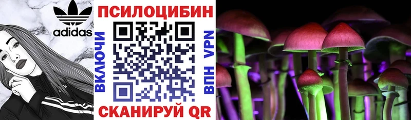 Купить  Калининск  Псилоцибиновые грибы Magic Shrooms 